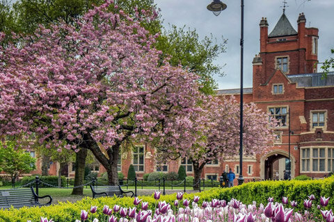 Belfast ¿Dónde alojarse? Belfast ¿Dónde alojarse?