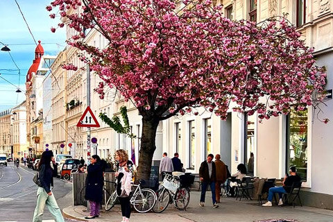 Dónde hospedarse en Viena Dónde hospedarse en Viena